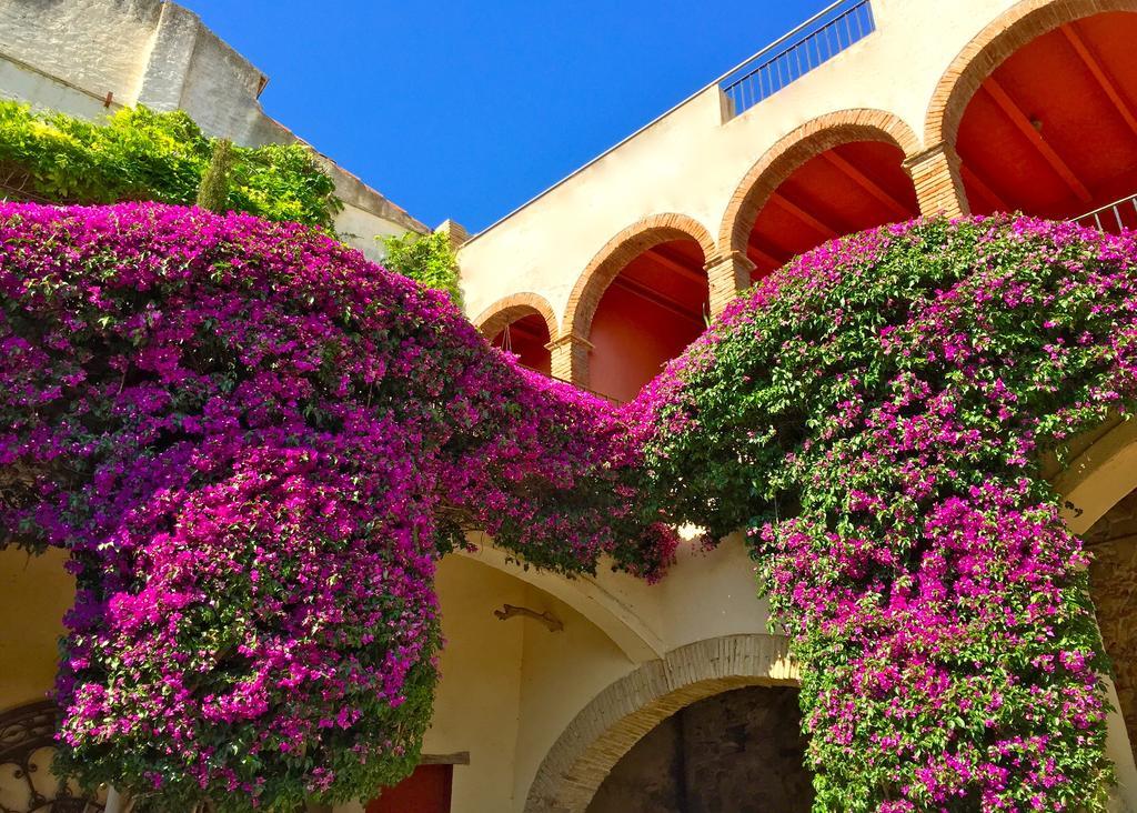 Apartaments Can Gibert Castello  D'Empuries Eksteriør billede