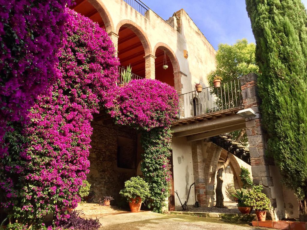 Apartaments Can Gibert Castello  D'Empuries Eksteriør billede