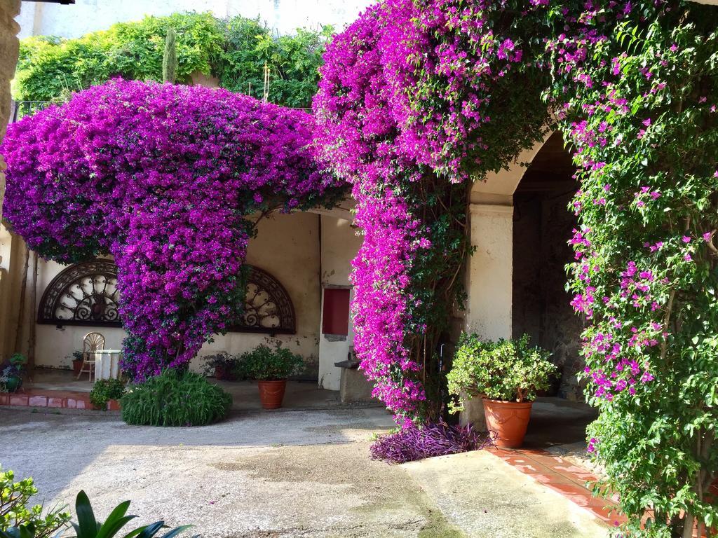 Apartaments Can Gibert Castello  D'Empuries Eksteriør billede